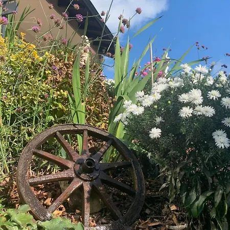 公寓 Sauerlandblick - & Wickede (Ruhr)