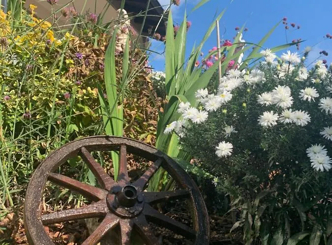 Apartman Sauerlandblick - & Wickede